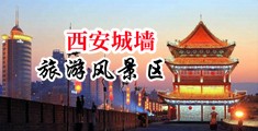 鸡巴操逼综合中国陕西-西安城墙旅游风景区